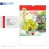Lịch Treo Tường Lò Xo 2027 NB Mẫu NB253 (16 x 25 cm) Ấn Phẩm Quà Tết Ngân Hàng & Tài Chính VIP in logo doanh nghiệp quà tặng Tết tại Quà Tặng Ngân Hàng